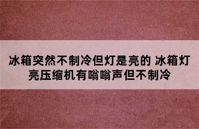 冰箱突然不制冷但灯是亮的 冰箱灯亮压缩机有嗡嗡声但不制冷